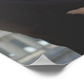 Poster Barack Obama (Coin)