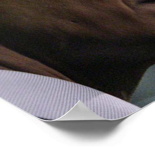 Poster Barack Obama Hope (Coin)