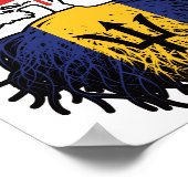 Poster Barbade Barbadien Canadian Canada Tree Roots Drape (Coin)