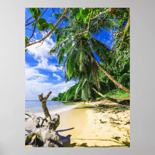 Poster Barbade Caribbean Island Beach Palm Tree Retraite (Devant)