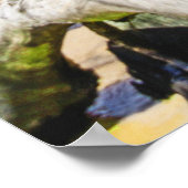 Poster Barbade Caribbean Island Beach Palm Tree Retraite (Coin)