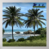 Poster Barbados Beach Palm Trees (Devant)