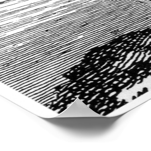 Poster Barbe noire (Coin)