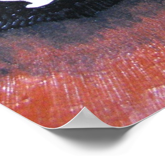 Poster Barbe noire (Coin)