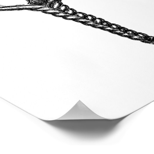 Poster barbe tressée (Coin)