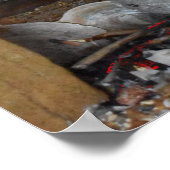 Poster Barbecue de l'Âge de Pierre (Coin)