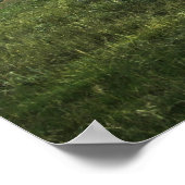 Poster Barbra's Ride (Coin)