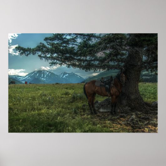 Poster Barbra's Ride (Devant)