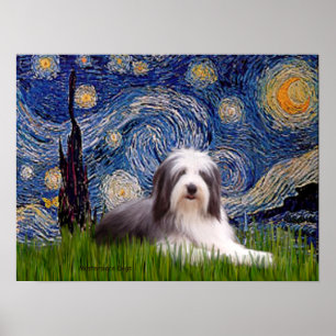 Poster Barbu 2 - Nuit étoilée