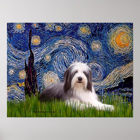 Poster Barbu 2 - Nuit étoilée (Devant)
