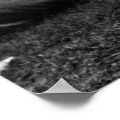 Poster Bareback Girl : 1904 (Coin)