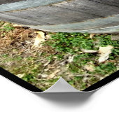 Poster Baril2 (Coin)