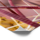 Poster Baril Cactus Roosage (Coin)