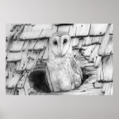 Poster Barn Owl (Devant)