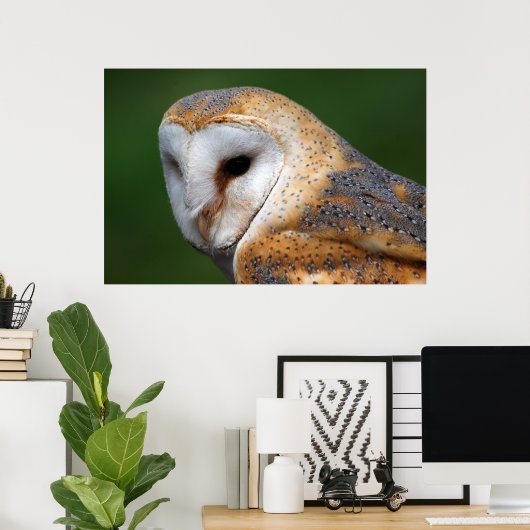 Poster Barn Owl (Bureau à domicile)