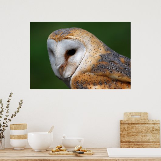 Poster Barn Owl (Cuisine)