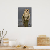 Poster Barn Owl (Cuisine)