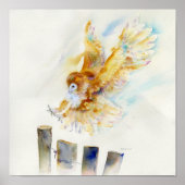 Poster Barn Owl (Devant)