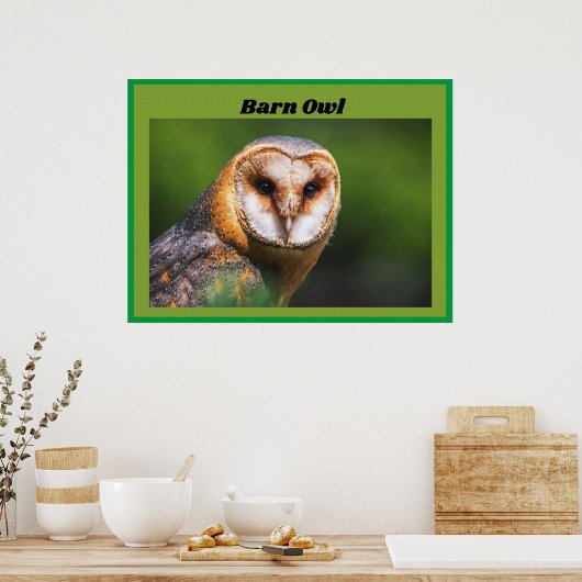 Poster Barn Owl (Cuisine)
