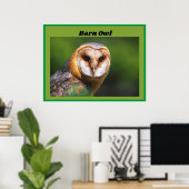 Poster Barn Owl (Bureau à domicile)