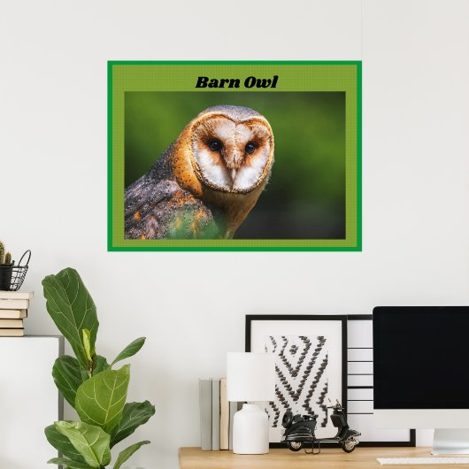 Poster Barn Owl (Bureau à domicile)