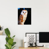 Poster Barn Owl 2 (Bureau à domicile)