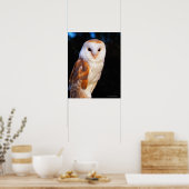 Poster Barn Owl 2 (Cuisine)
