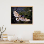 Poster Barn Owl à mi-vol (Cuisine)