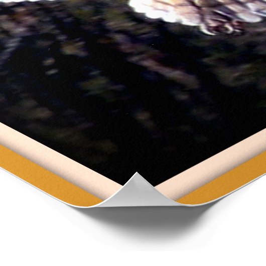 Poster Barn Owl à mi-vol (Coin)