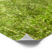 Poster Barne et Outhouse (Coin)