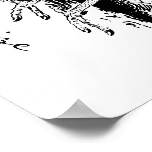 Poster Barne Owl Thunder_Cove (Coin)