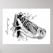 Poster Barne Owl Thunder_Cove (Devant)