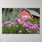 Poster Barne rouge (Devant)