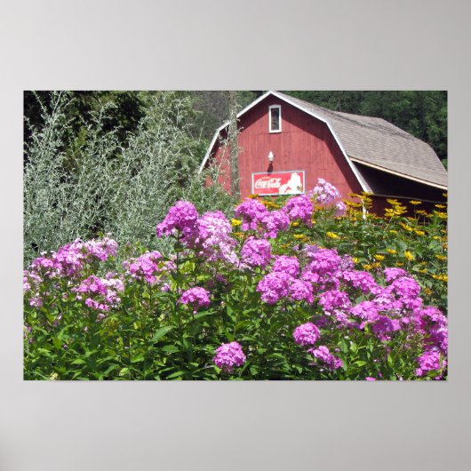 Poster Barne rouge (Devant)