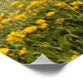 Poster Barne rouge et Fleurs sauvages jaunes (Coin)