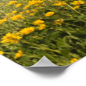 Poster Barne rouge et Fleurs sauvages jaunes (Coin)