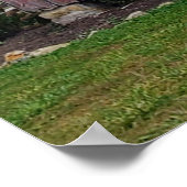 Poster Barne rouge, ferme, vie (Coin)