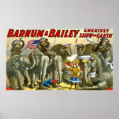 Poster Barnum Bailey Eléphants Vintages (Devant)