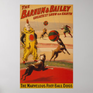 Poster Barnum et Bailey - chiens merveilleux du football