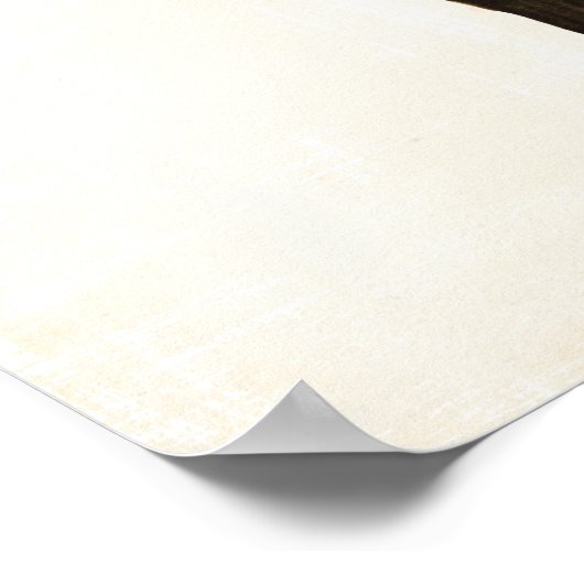 Poster Barnyard Bufs - Âne, Chèvre, Chien, Chat (Coin)