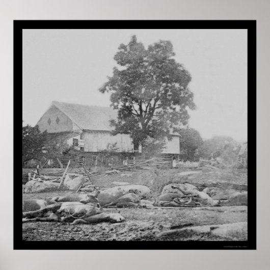 Poster Barnyard et chevaux à Gettysburg 1863 (Devant)