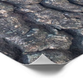 Poster Barque d'arbre (Coin)