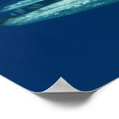 Poster Barracuda (Hoek)