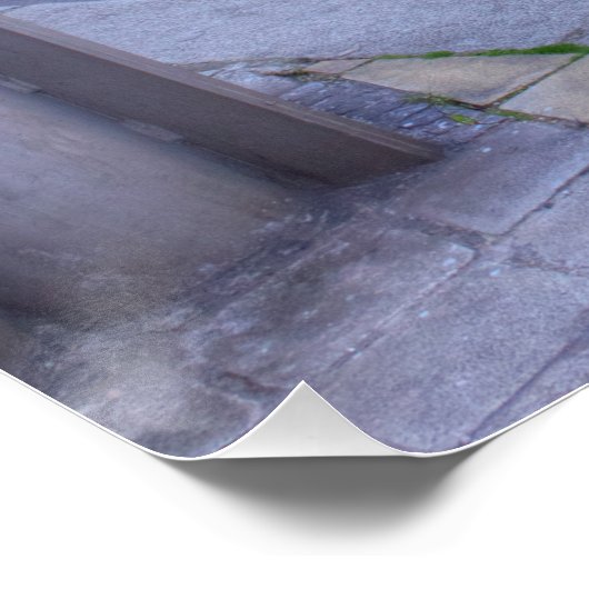 Poster Barracuda (Coin)