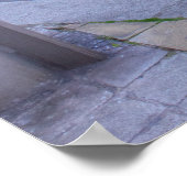 Poster Barracuda (Coin)