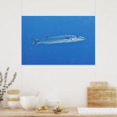 Poster Barracuda en bleu (Cuisine)