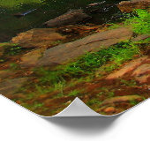 Poster Barrage de Starr's Mill (Coin)