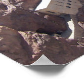 Poster Barrage Hoover (Coin)