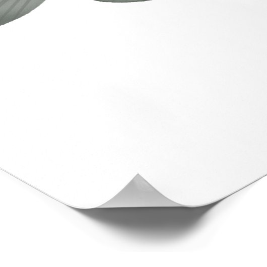 Poster Barramundi (Coin)