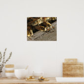 Poster Barre Bees_Honey Lager ? (Cuisine)